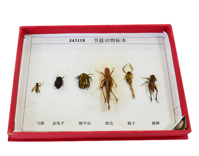43118(ji)֫(bio)